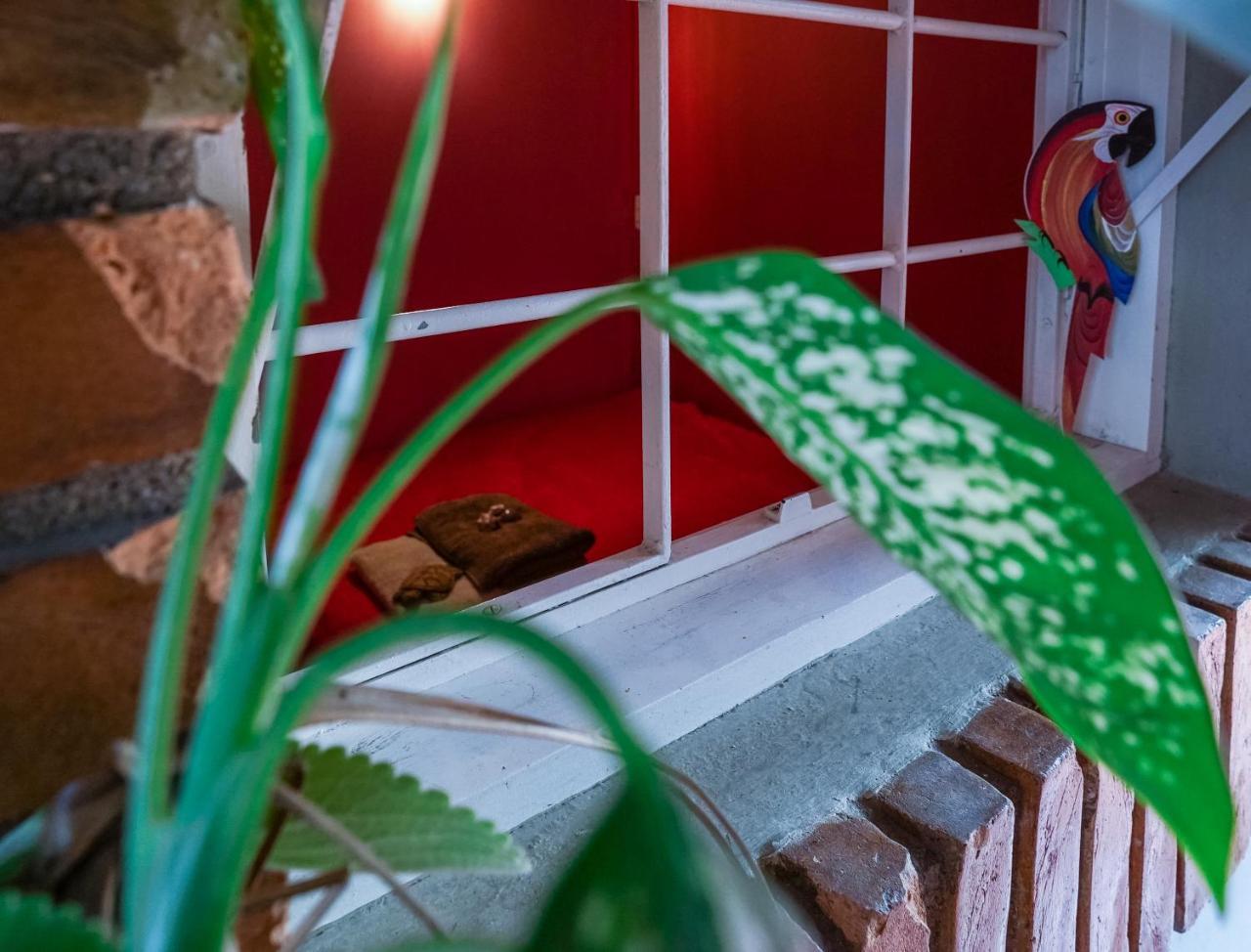 Hostel Tropico De Capricornio - Itagua أوباتوبا المظهر الخارجي الصورة
