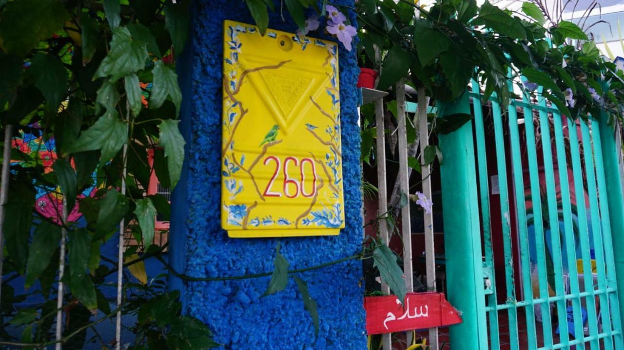 Hostel Tropico De Capricornio - Itagua أوباتوبا المظهر الخارجي الصورة
